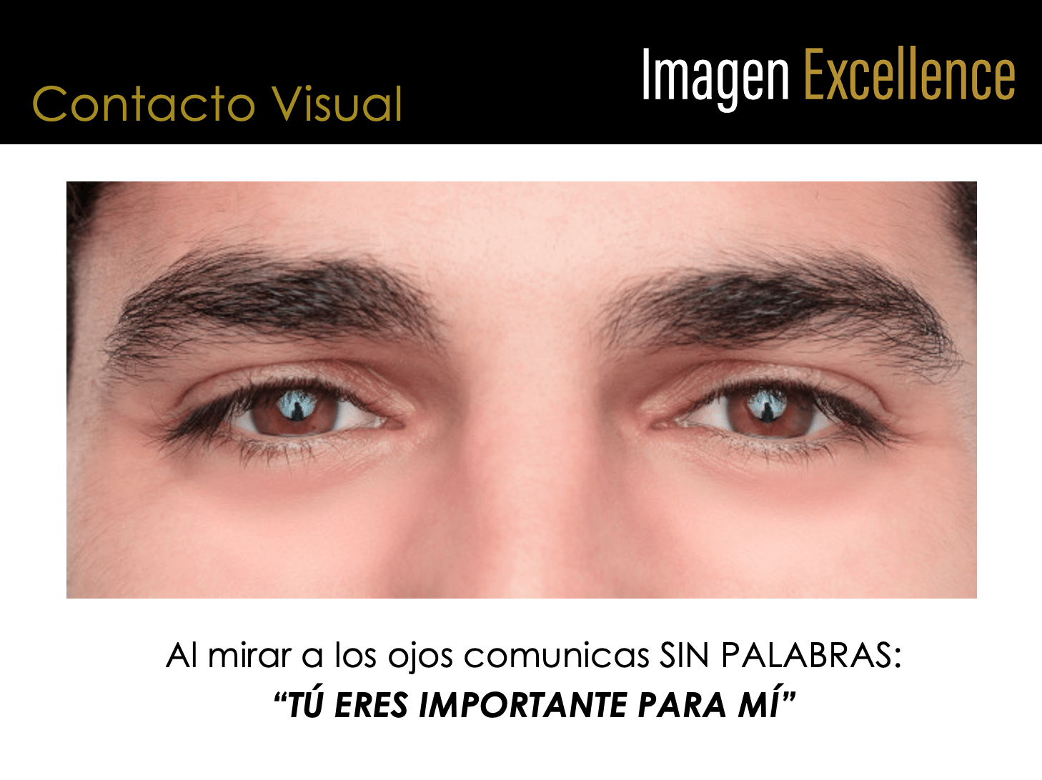 Captura de Pantalla 2023-12-27 a la(s) 6.49.20